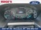 2025 Ford Transit T-250 130" Low Rf 9070 GVWR RWD