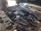 2017 BMW X3 xDrive28i xDrive28i