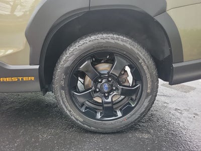 2023 Subaru Forester Wilderness