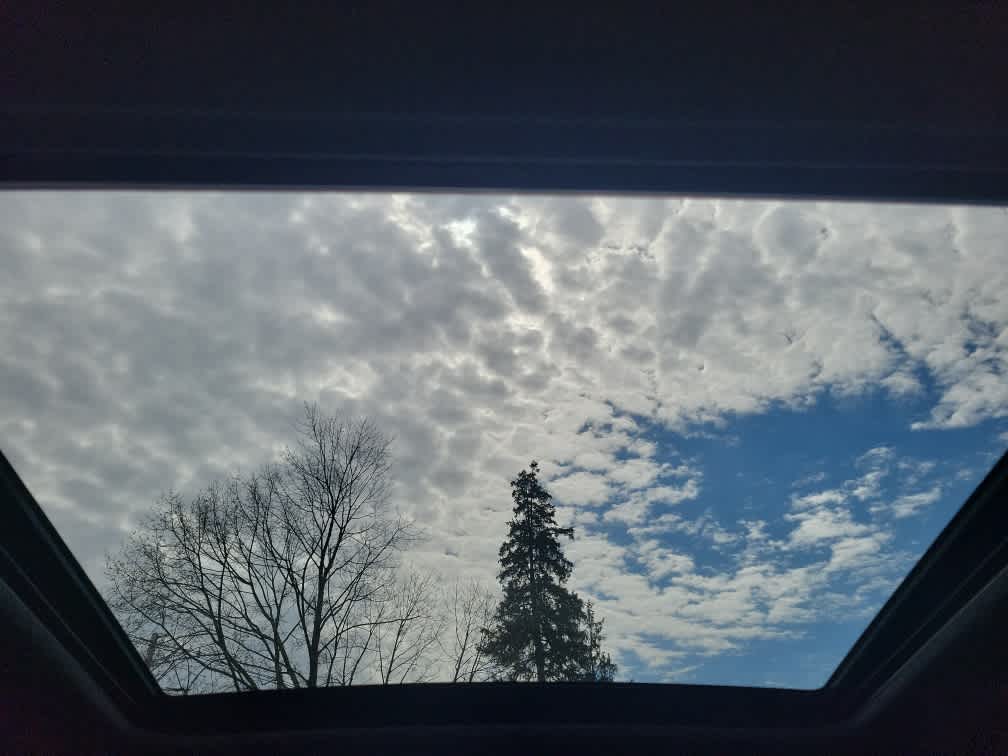 2025 Subaru Forester Premium Hybrid