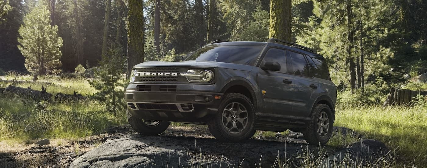 A grey 2024 Ford Bronco Sport for sale in Rhinebeck is shown from the front at an angle.